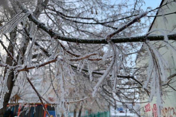 Магазин Руно Каменск Уральский