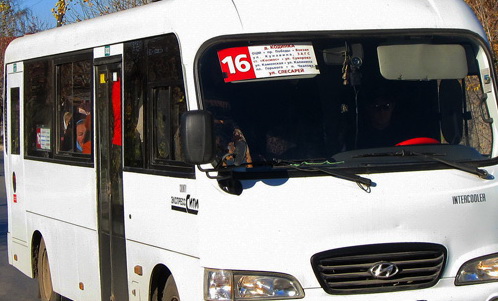 avtobus50219