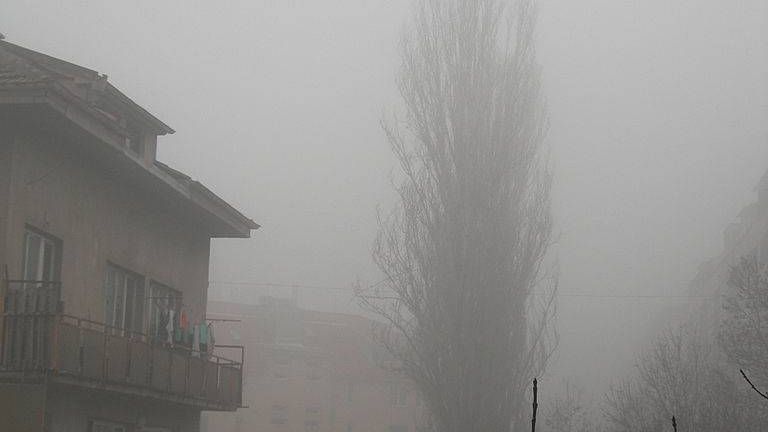 smog60219
