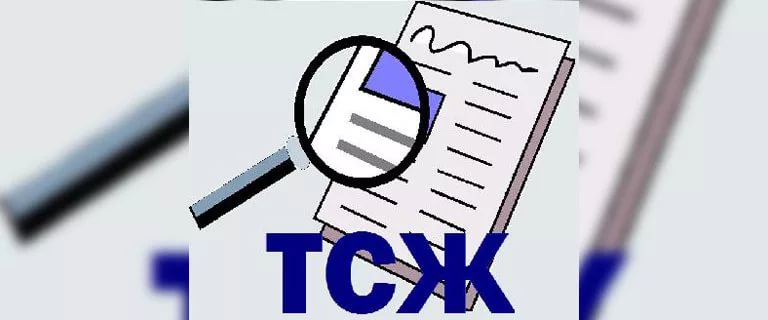 tsg280319