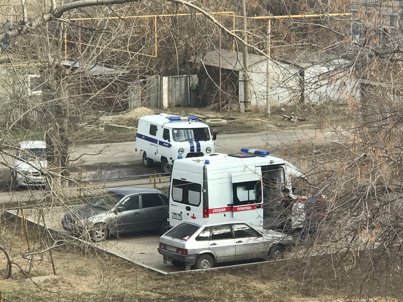 goryatchka250419