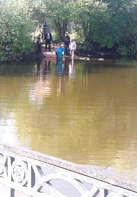 v reke Kamenka obnaruzhen trup zhenshhiny 2