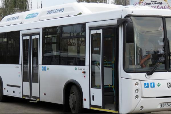 bus210819