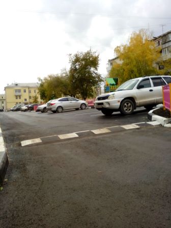 dvor81019