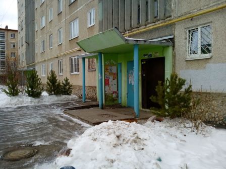derevo210120