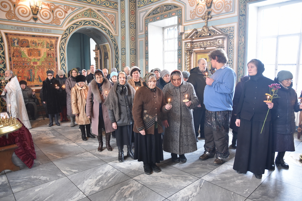 zimina60320 2