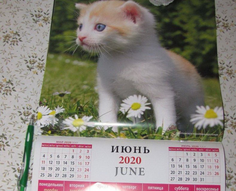 kalendar30720
