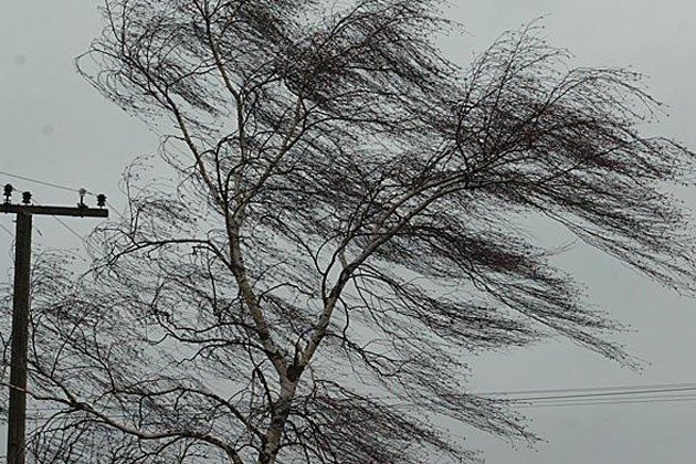 storm1911290