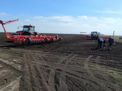 svekla230821