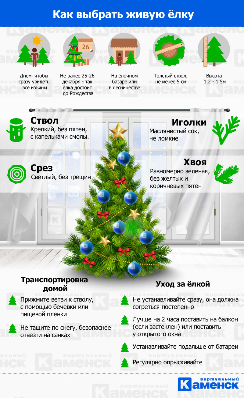infographic christmas tree12