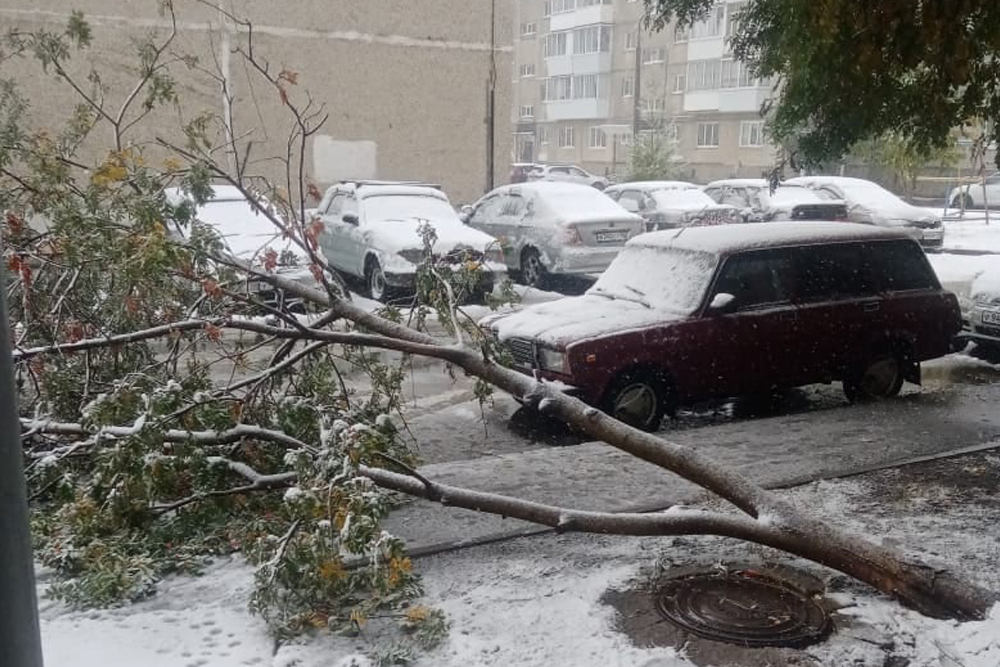 бульвар комсом