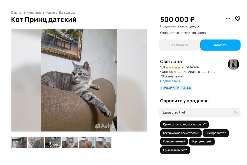 kot2210241213