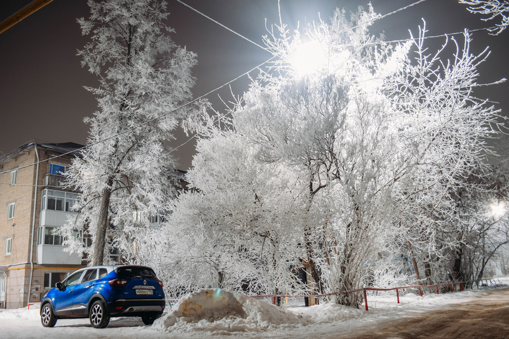 moroz090124