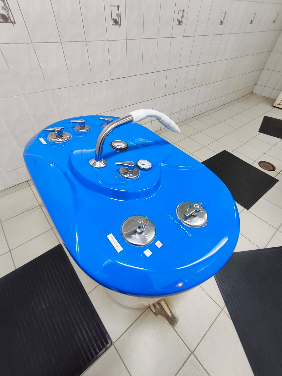 Директор санатория «Каменская здравница» Светлана Ивановна Жукова: «Заботимся о здоровье, меняясь в лучшую сторону»