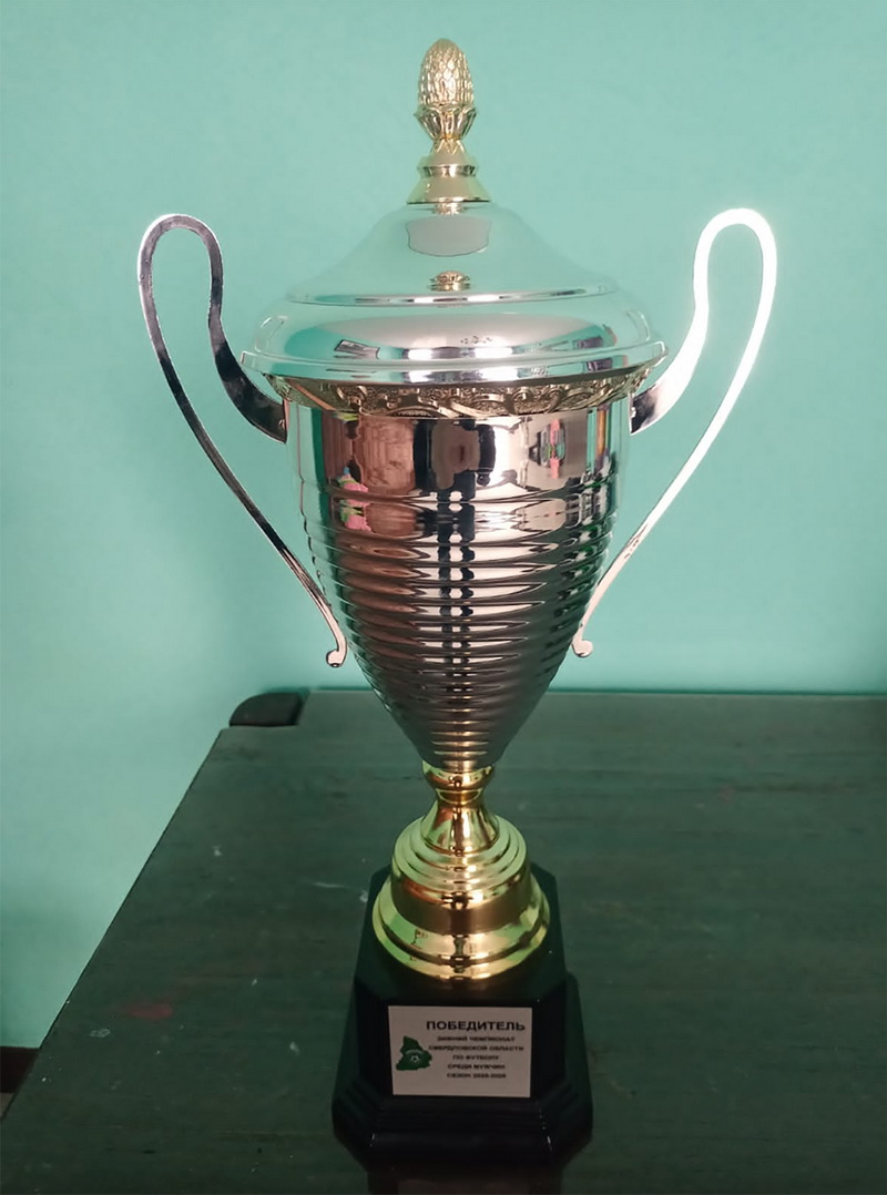 Областной триумф футбольной «Синары» 