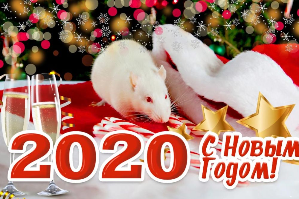 20 2