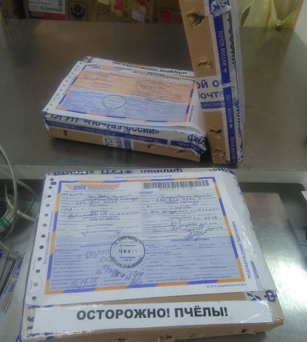 pthely100619
