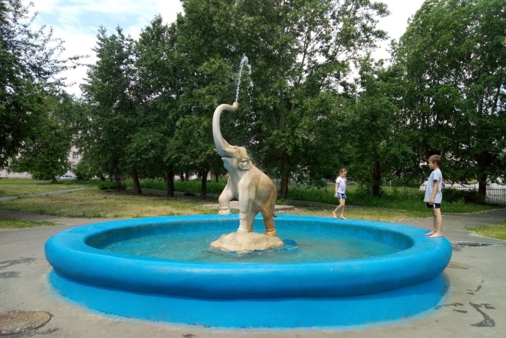 slon110619