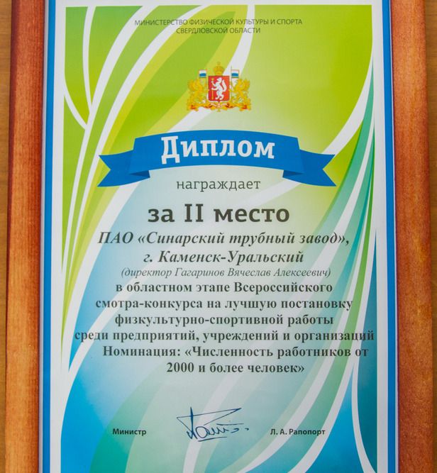 diplom0212