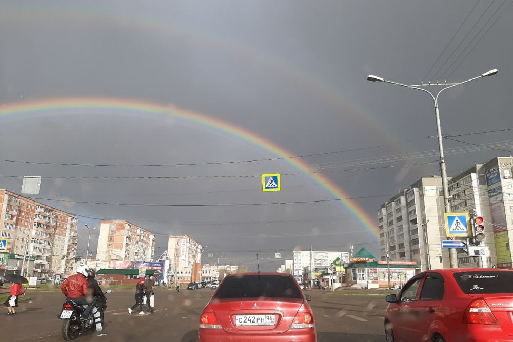 7fSedigTrIE