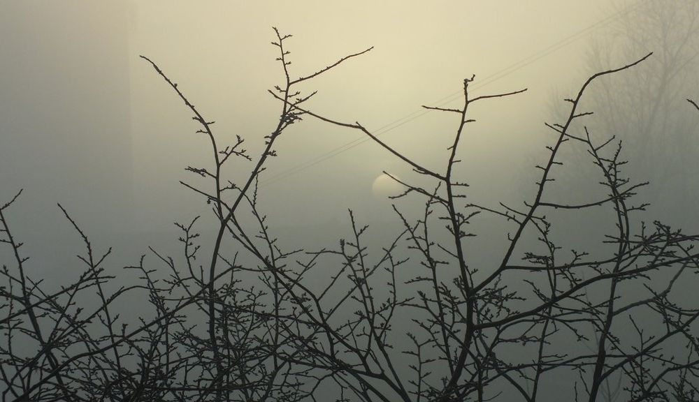 smog60320