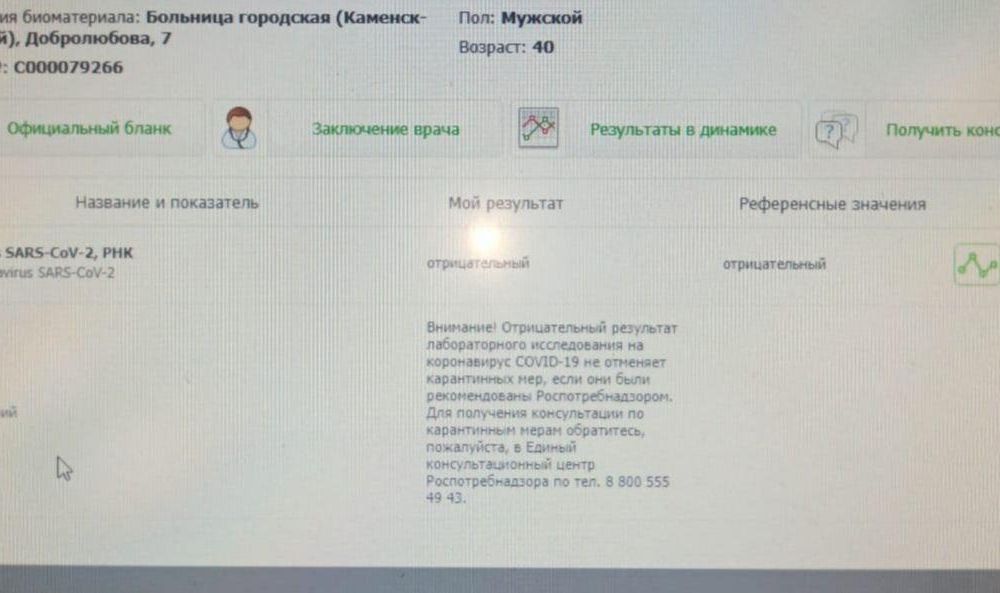 analiz241120