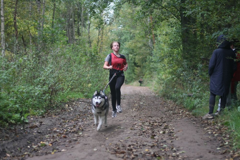 dasha140920
