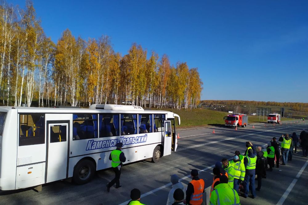 mcs81020 2