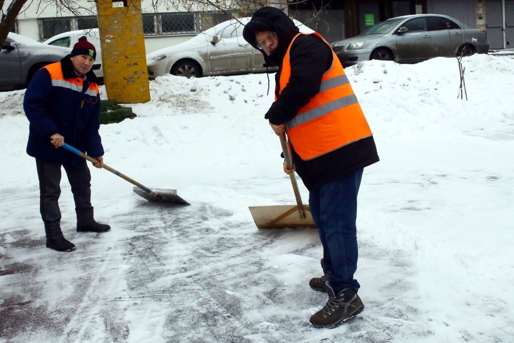 dvor160222