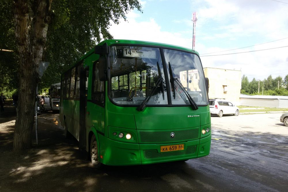 bus80621