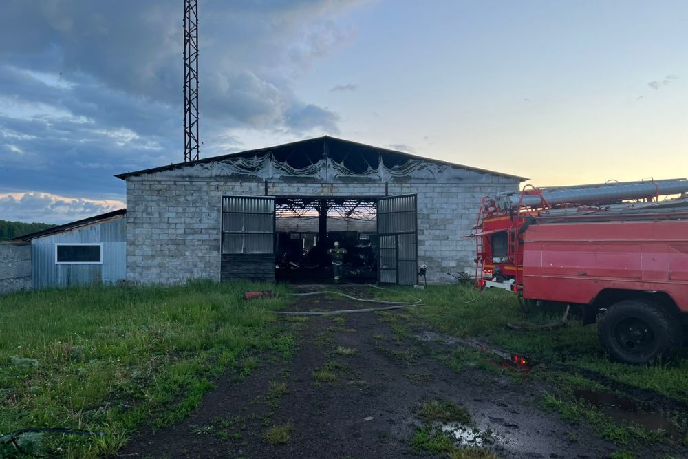 pozhar v kamenskom gorodskom okruge 1654716707937057172
