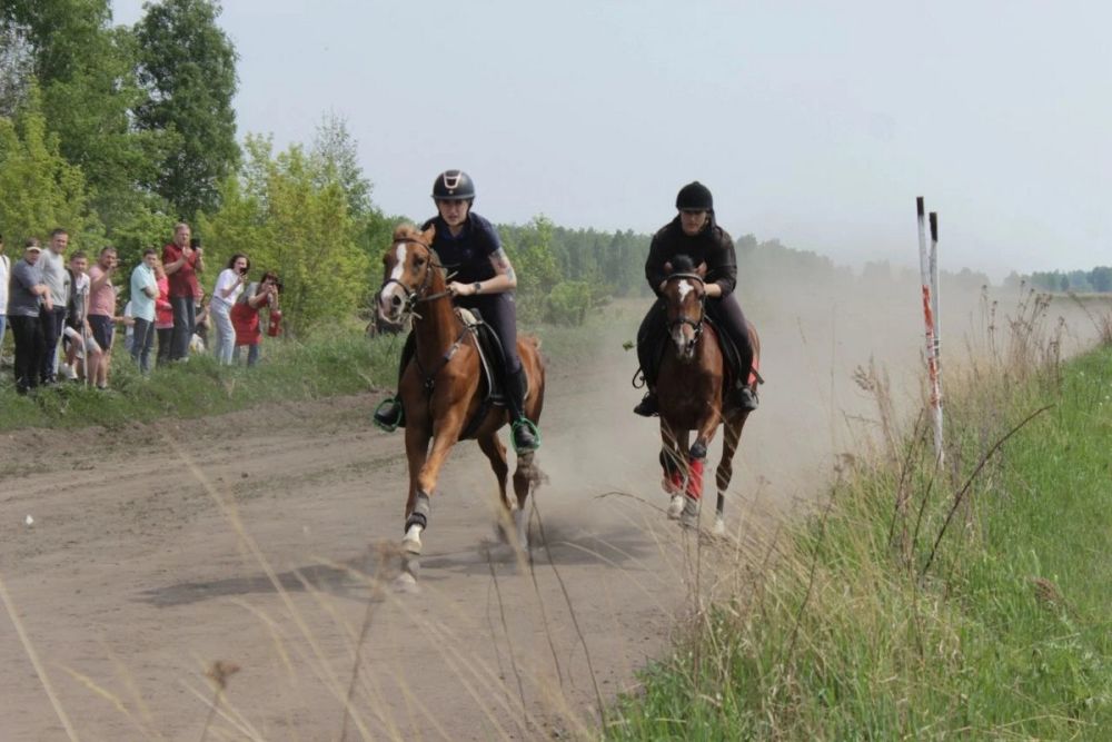 photo02