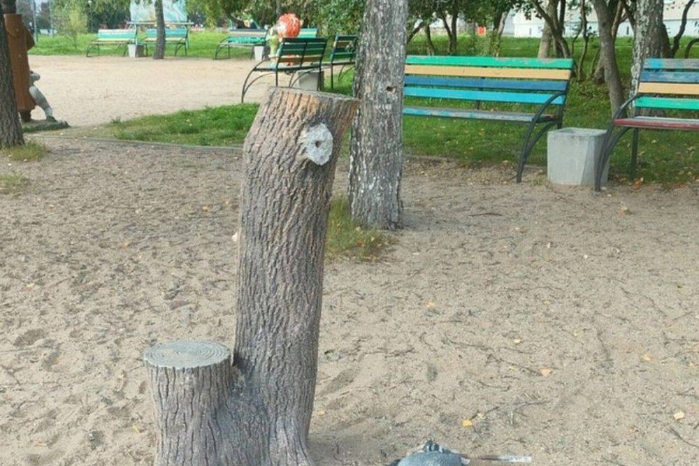 За травму от скульптуры «Пень с вороной» годовалому ребенку и его родителям выплатят компенсацию