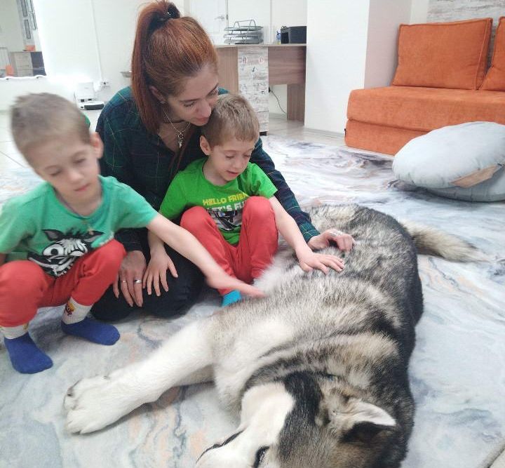 Обнимашки с маламутом: как в Каменске появилась студия радости и тепла