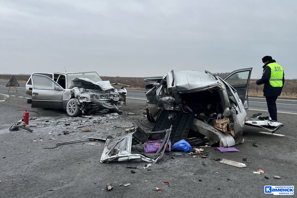 Установлены обстоятельства смертельного дорожно-транспортного происшествия в Каменском районе