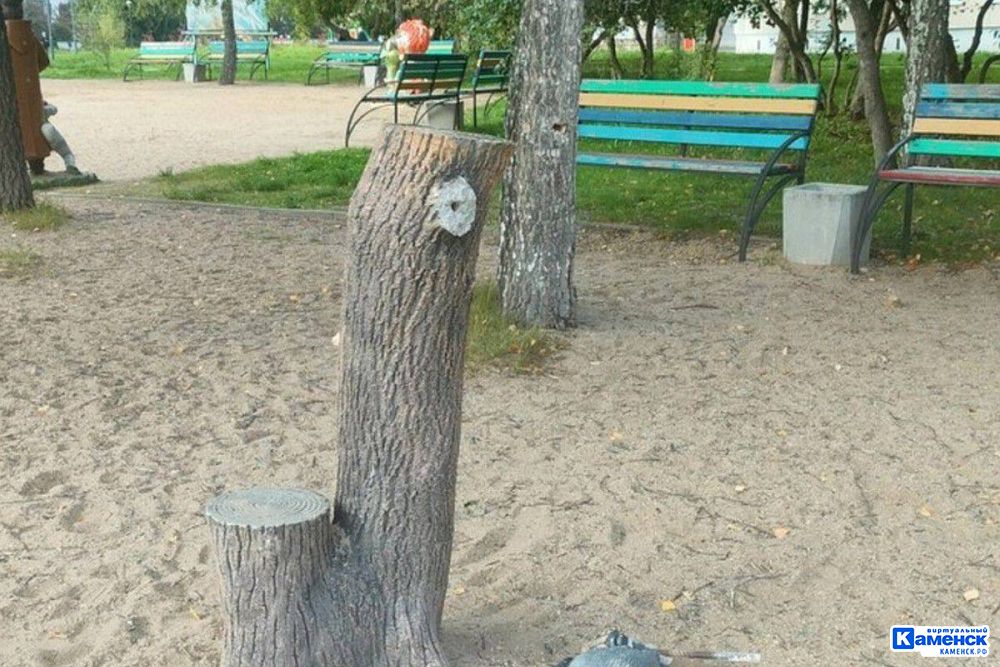 За травму от скульптуры «Пень с вороной» годовалому ребенку и его родителям выплатят компенсацию