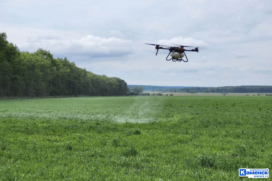 Свердловская область вошла в топ-10 регионов в рейтинге инновационности в агропромышленном комплексе