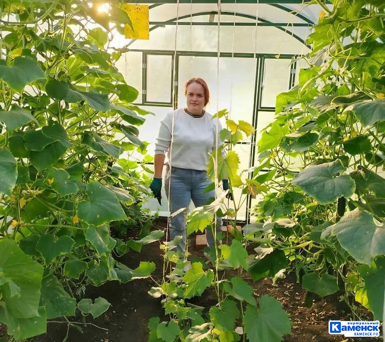 Алёна Хабирова: про каменский питомник «Зелёное счастье» 