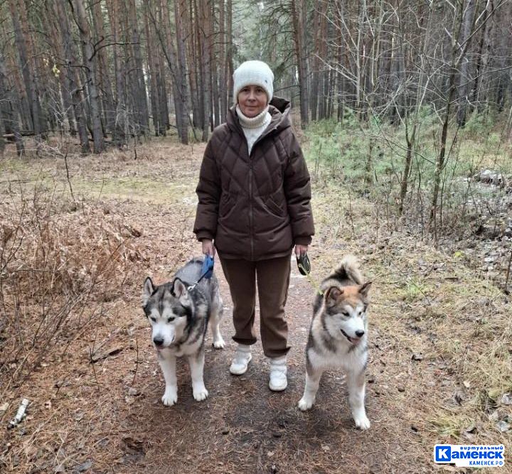 Обнимашки с маламутом: как в Каменске появилась студия радости и тепла