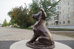 Подробнее...