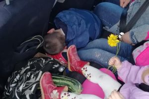 Подробнее...