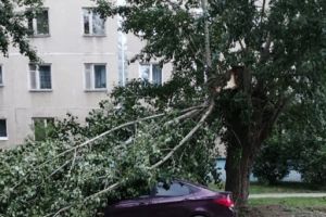 Подробнее...