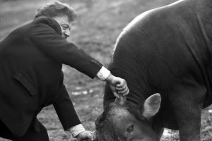 Подробнее...