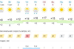 Подробнее...