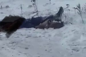 Подробнее...