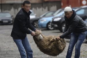 Подробнее...