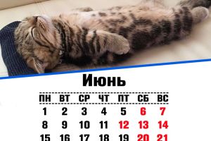 Подробнее...