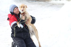 Подробнее...