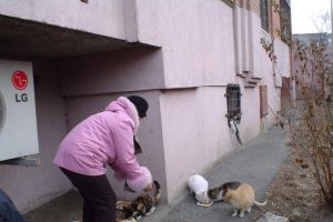 Подробнее...