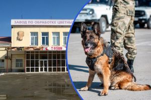 Подробнее...